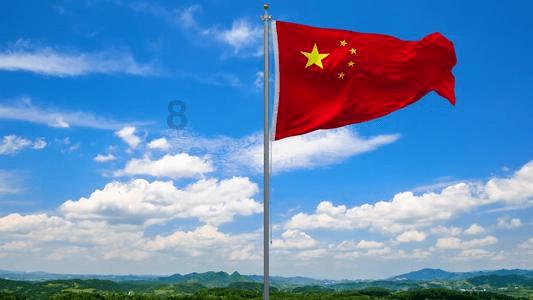 五彩鹦鹉救援