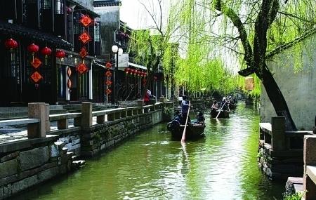 蝴蝶领结